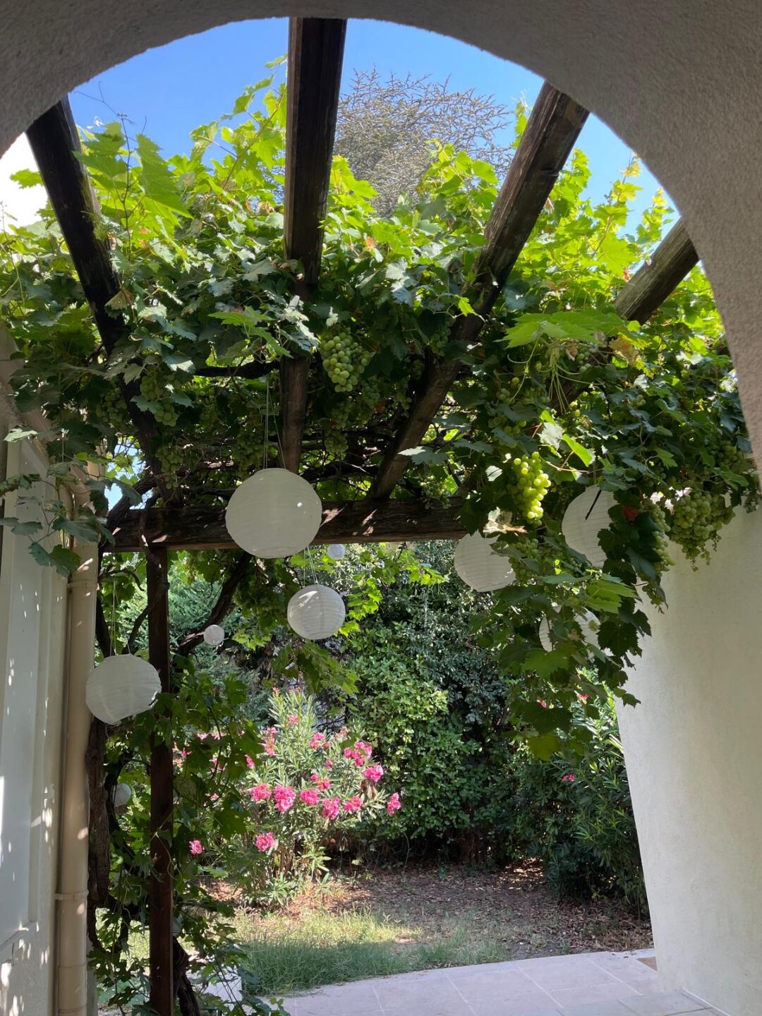 Weinlaube mit Blick in den mediterranen Garten der Villa Fontaine Beau